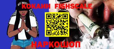 крисы Коммунар