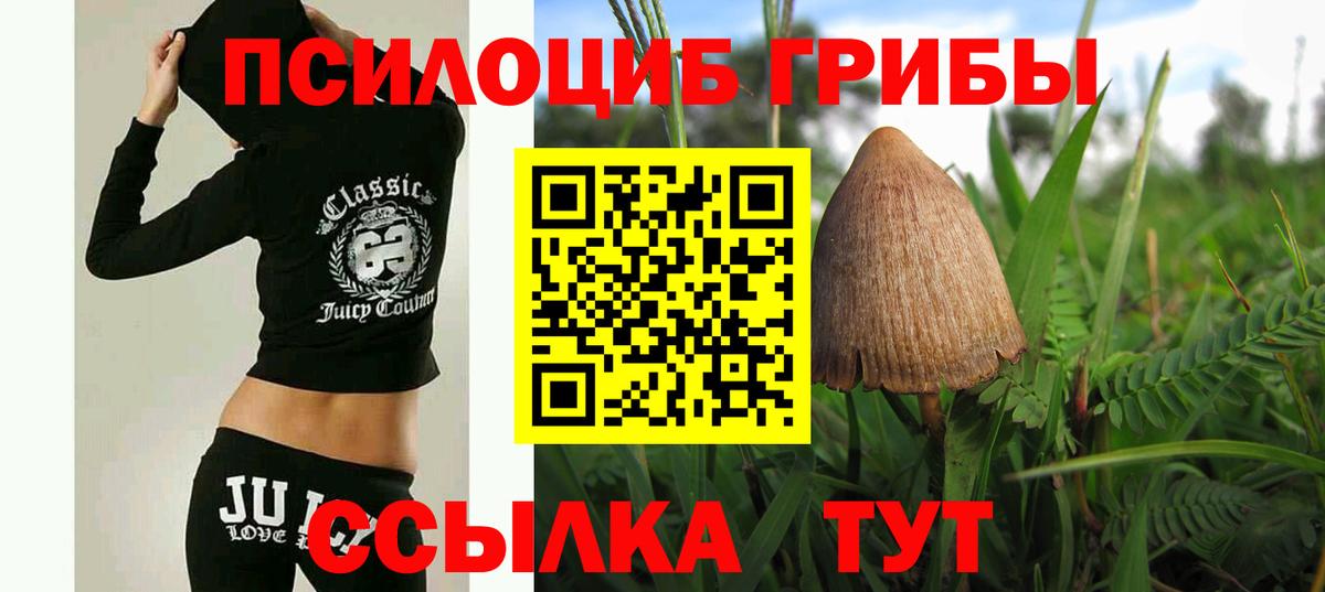 Галлюциногенные грибы прущие грибы  Вход с VPN  Кизляр 